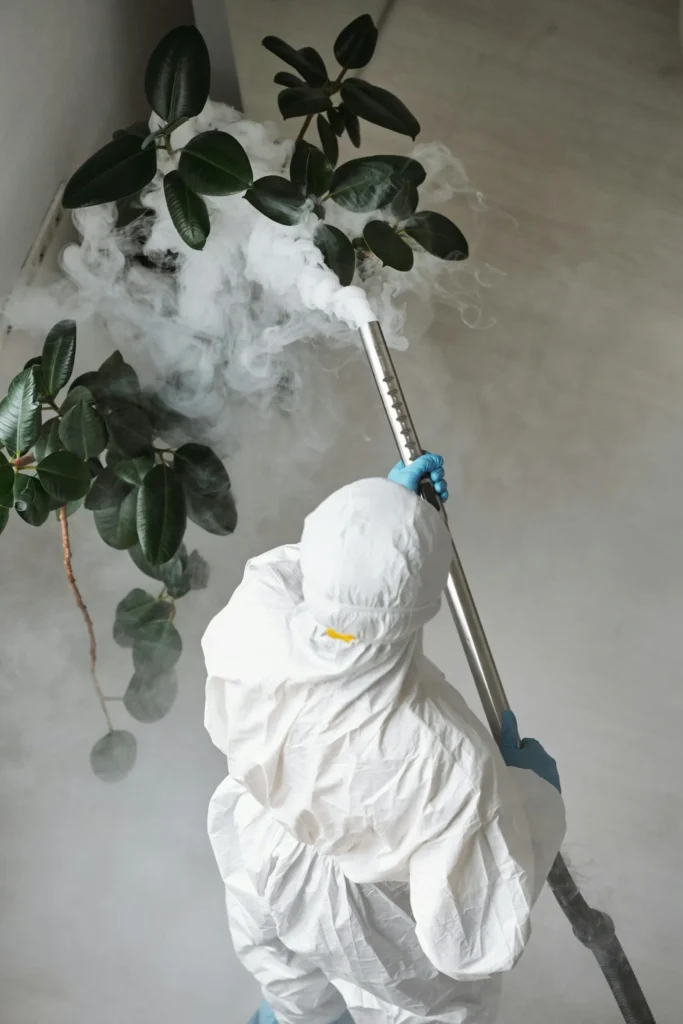 Trusted Pest Control - Pest Control Pros | Belleville, NJ | 862-343-8838
