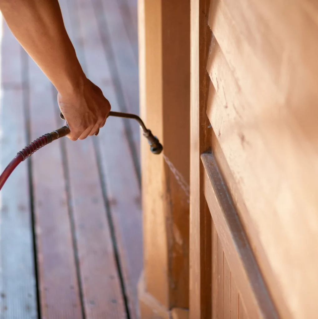 Trusted Pest Control - Pest Control Pros | Belleville, NJ | 862-343-8838